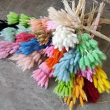 100pcs Natural Grass Dried Flower Rabbit Tail Grass Floral Wedding Tail Plants