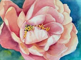 Peony Flower Original Watercolor Painting