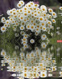 ?? ???????????? ?????? ?????????????? ???????? ???????????? ???????? ???? ??????????  | OK.RU Flower Delivery