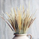 50Pcs Natural Dried Flowers Goldenrod Reed Bunch Wedding Bouquet Home Decor DIY