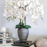 white Orchid arrangement, Florence, luxury floral display, gift, home accessories,real touch