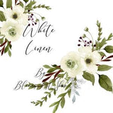 Watercolor white rose bouquets-clip-art-anemone flowers-greenery- White Linen. WC243