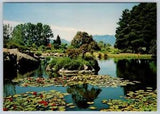 Water Lily Pond Van Dusen Botanical Gardens Vancouver British Columbia Postcard