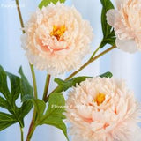 3 Heads Peony Stem | High Quality Artificial Flower | DIY Floral | Wedding/Home Decoration | Gifts - Creamy Pink