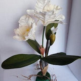 Vintage Cattleya Orchid silk flower arrangements CREAM
