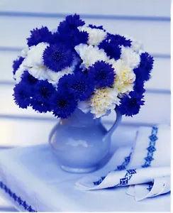 2008 Large Print Photo Blue and White Bachelor Buttons White Carnation Pitcher