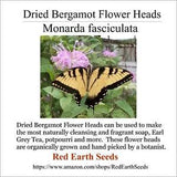 Dried Wild Bergamot Flower Heads - (.1 ounce) - Monarda fistulosa