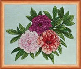 DIY Cross-stitch Embroidery Kit Peony Trio Flowers stitching needlepoint