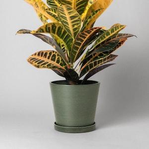 7" Planter Pot with Saucer Drainage Hole & Plug | Planter with Saucer | Houseplant Flower Pot | Tapered Angled Planter (Colour - Olive Sage)