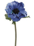 Blue Anemone Flower Delivery