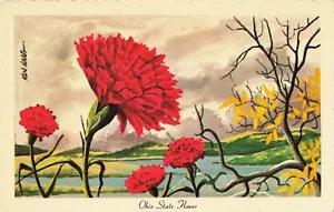 Postcard Art Scarlett Carnation Ohio State Flower A/S Ken Haag 1967