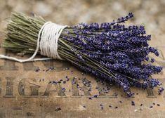 French Lavender: a Magic Ingredient in Food Flower Delivery