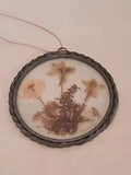 Dried Flower Window or Wall Hanging 4.5" Diameter Lasting Impressions USA