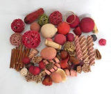 Dried Pods Gourds Bowl Filler Table Scatters