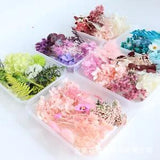 1Box Real Dried Flower Material Pack DIY Art Craft Epoxy Resin Pendant Jewelry