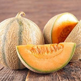 Sweet Melon - Muskmelon - Charentaise 3g - 50 Seeds - Cucumis Melo