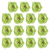 30Pcs Artificial Flower Head Fake Flowers Heads Bulk Silk Peony Heads Green
