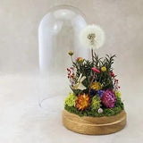 j48 Real Dandelion Head Surrounded by flowers Lg Glass Dome Curiosities Natural