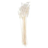 Dried Flower Bunny Tails Wedding Table Centerpieces Decoration