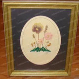 Colorful Dried Flower Arrangement - Framed, Matted, Signed