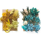 Liveish Natural Pressed Flowers Multiple Colorful Boho Mini Dried Flowers for...