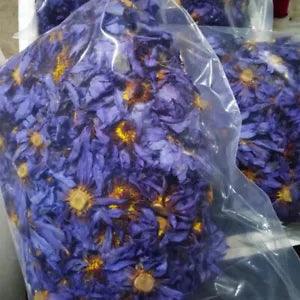 Home decoration Blue Lotus dried flower materials air dried DIY handmade scented