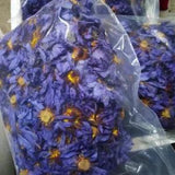 Home decoration Blue Lotus dried flower materials air dried DIY handmade scented