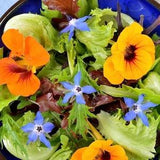 Sweet Aromatic Edible Colorful Flowers Blend 3g - 200 NON GMO Seeds