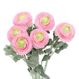 Artificial Ranunculus Flowers, 6 Stems Faux Permanent Flower Floral, Pink