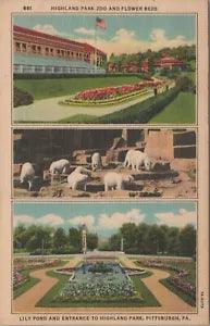 Highland Park Zoo Lily Pond Bears Multi View Pittsburgh PA Postcard