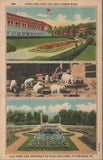 Highland Park Zoo Lily Pond Bears Multi View Pittsburgh PA Postcard