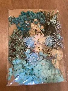 PRESSED FLOWERS FOR YOUR DIY Blue BLOOMS APPROX 1" - 1 1/2"