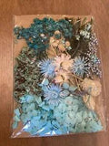 PRESSED FLOWERS FOR YOUR DIY Blue BLOOMS APPROX 1" - 1 1/2"