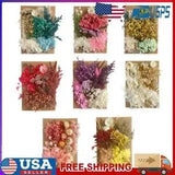 Real Dried Pressed Flowers for Resin Molds Resin Jewelry Soap and Candle Making