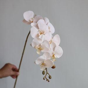 35" Fake Orchids in Champagne, Artificial Phalaenopsis Orchids Stem, DIY Office/Wedding/Home/Holiday/Kitchen Decorations, Mum Gifts for Her