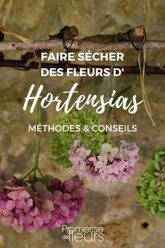 Faire s??cher des fleurs d'hortensia - tutoriel Flower Delivery