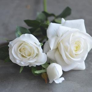 3 Heads Real Touch Artificial Flowers, DIY Florals | Wedding/Home/Kitchen Decoration | Gifts, DIY Bouquets/Centerpieces-Cream White