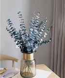 Dried Flowers Decor 10PCS, Eucalyptus Stems, Eucalyptus Decor for Vase,