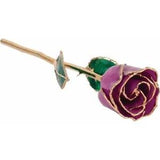 Amethyst Lacquered Real Rose 24K Gold Plated Trimmed February Birthstone Rose