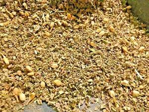 Ginger Marshmallow Leaf Wild Lettuce Catnip Skullcap Jasmine Mullein - No.32 Mix