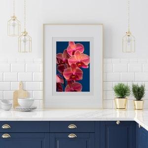 FINE ART PHOTOGRAPHIC Print of a beautiful orchid on blue background created in studio for home or office decor and design, wall art hanging