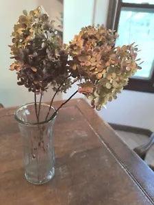 Rustic Dried Hydrangeas On Stem - 4 Stems