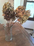 Rustic Dried Hydrangeas On Stem - 4 Stems
