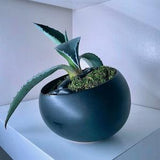 Sloped Black Modern Ceramic Planter Pot For Succulents/Bonsai/Orchid 4???-Free Liner