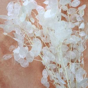 Lunaria, Dried Lunaria , Silver Dollar, Dried Flowers, Home Decor, Wedding Flowers, Wedding bouquets, money plant, Gift
