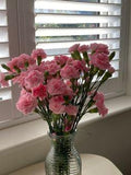 @kileymariep Flower Delivery
