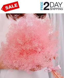 Pink Dried Baby's Breath Flowers Bulk - 2500+ Soft Mini Preserved Gypsophila Flo