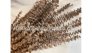 PRESERVED DYED YELLOW EUCALYPTUS FLORAL FOLIAGE FILLER FLOWER SCENTED