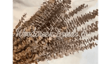 PRESERVED DYED YELLOW EUCALYPTUS FLORAL FOLIAGE FILLER FLOWER SCENTED