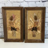 Vintage Dried Flower Framed Arrangements By Mallard Frame, Papers Attached X2